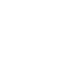 logo gm blanc