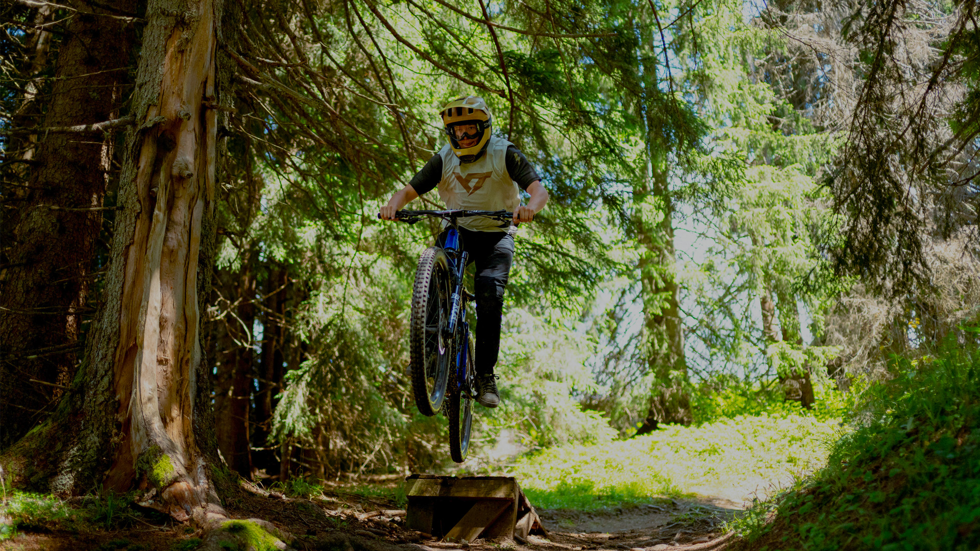 Rider dans la fôret de morillon